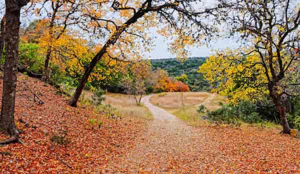 Área natural estatal Lost Maples