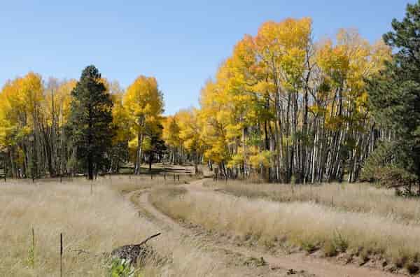 Arizona Snowbowl-Fin de Semana de Otoño en Flagstaff