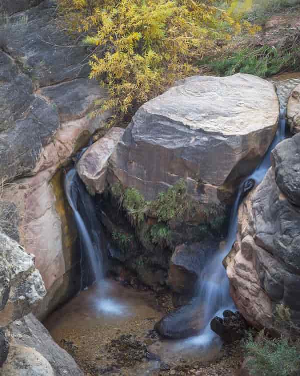 Arroyo Jardín