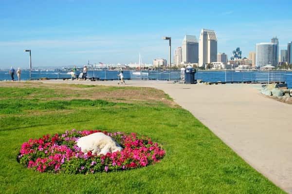 Aventuras al aire libre-atracciones para visitar en San Diego