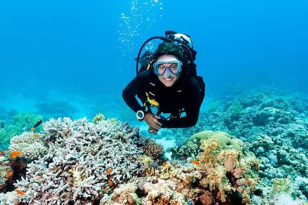 Aventuras en el arrecife