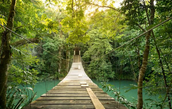 Aventuras en la jungla-Conocer Placencia en Belice