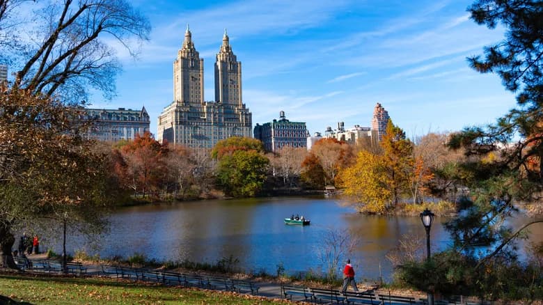 Avistamiento de aves y recorridos en bote en Central Park