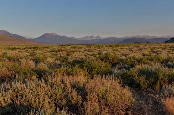 BLM Land al sureste de Mammoth