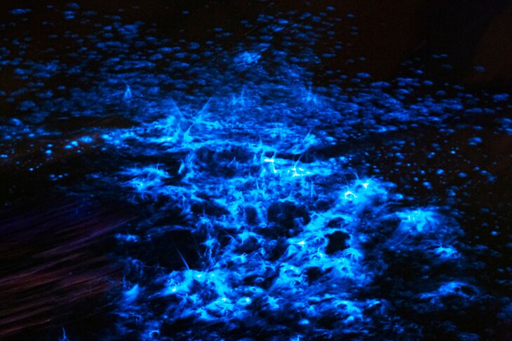 Bahía Bioluminiscente en La Parguera en Lajas