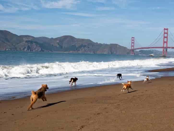 Baker Beach San Francisco playas nuditas playas mudistas