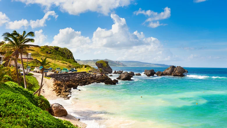 Barbados, Caribe
