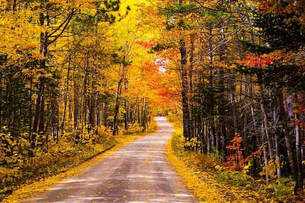 Baxter State Park-Colores del Otoño en Maine
