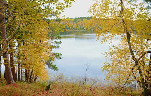 Bemidji-minesota