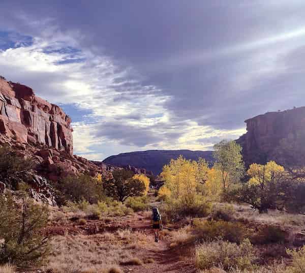 Big Dominguez Canyon Trail