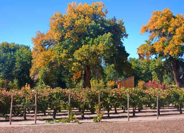 Bioparque ABQ-Colores del Otoño en Nuevo México