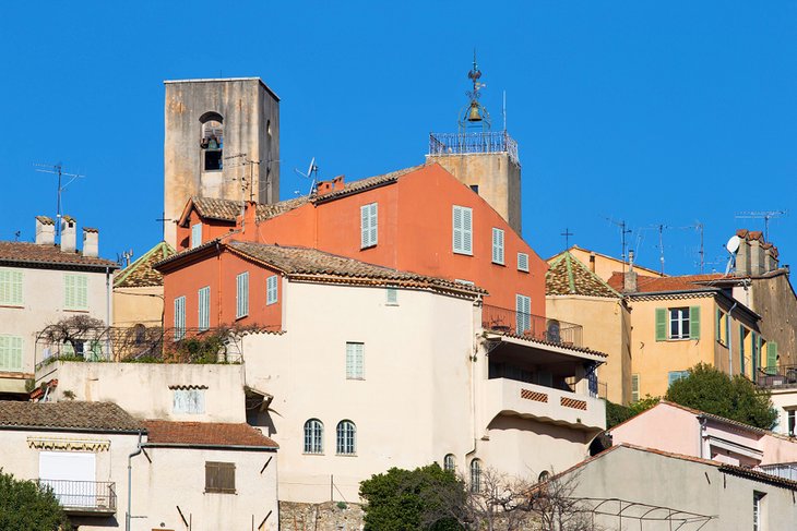 Biot
