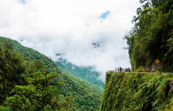 Bolivia es hogar de enfermedades transmitidas por mosquitos