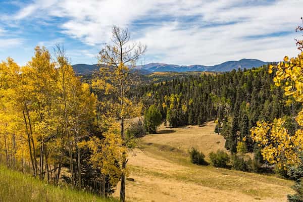 Bosque Nacional Carson