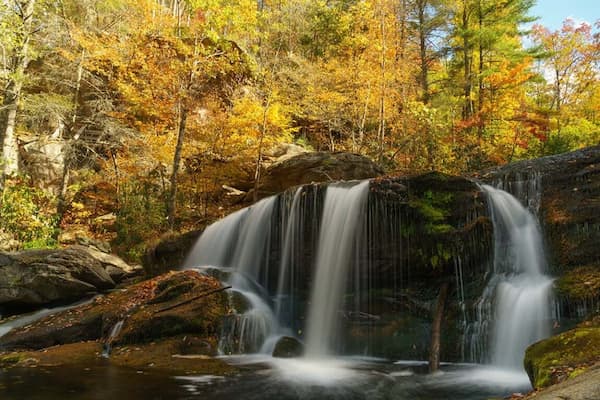 Bosque Nacional Cherokee