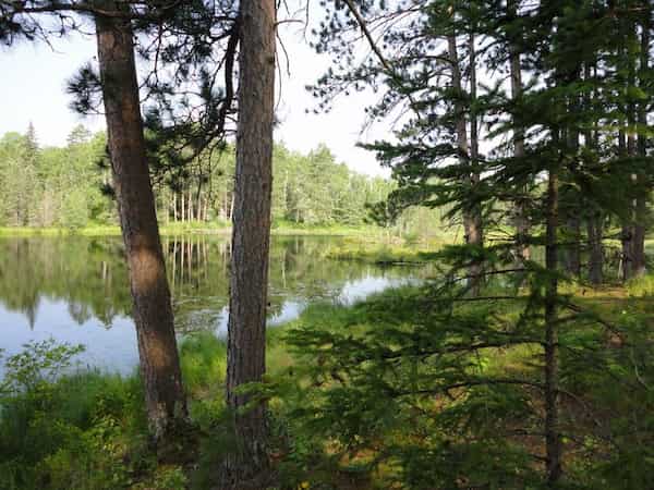 Bosque Nacional Chippewa-Lugares  para ver los colores del otoño en Minnesota