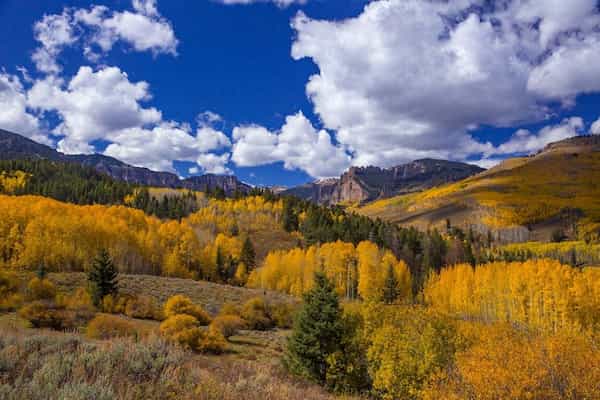 Bosque Nacional Gunnison-Bosques Nacionales en Colorado