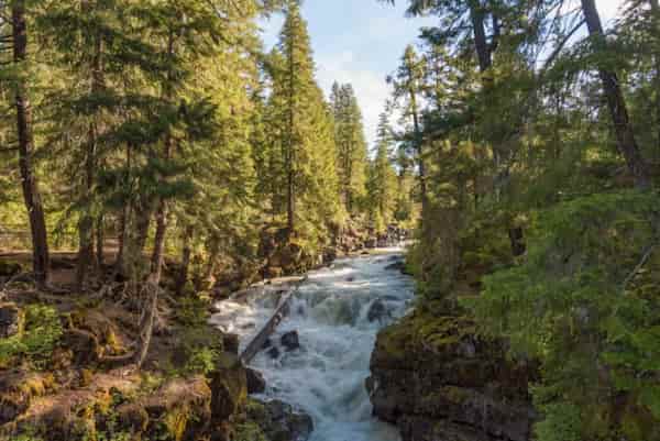 Bosque Nacional Rogue-Siskiyou