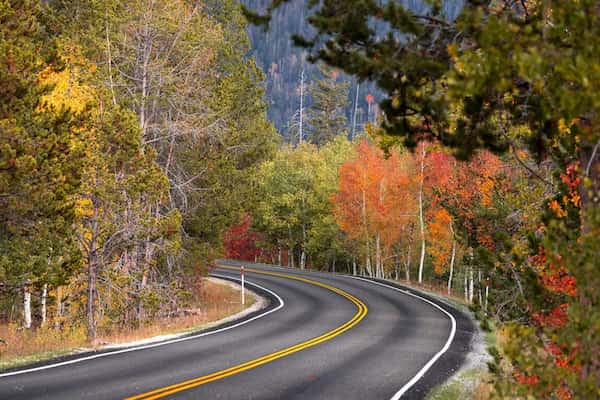 Bosque Nacional Uinta-Wasatch-Cache