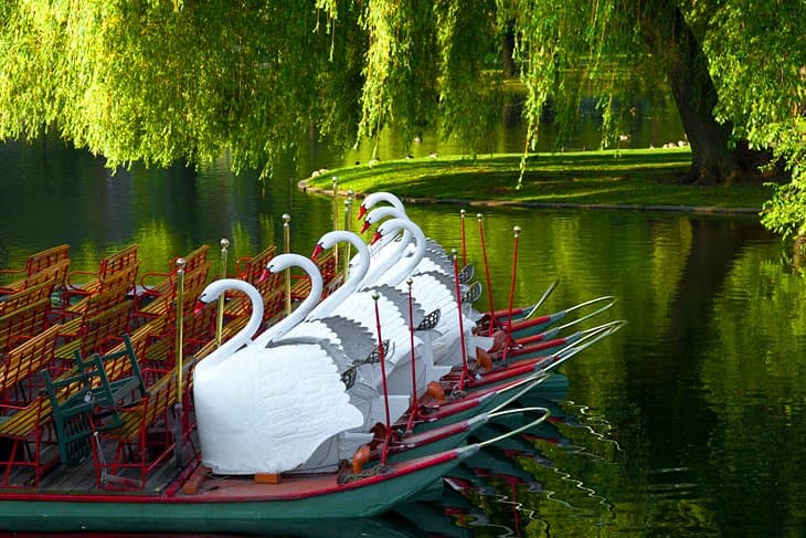 Boston Common y Jardín Público Paseo en los barcos cisne