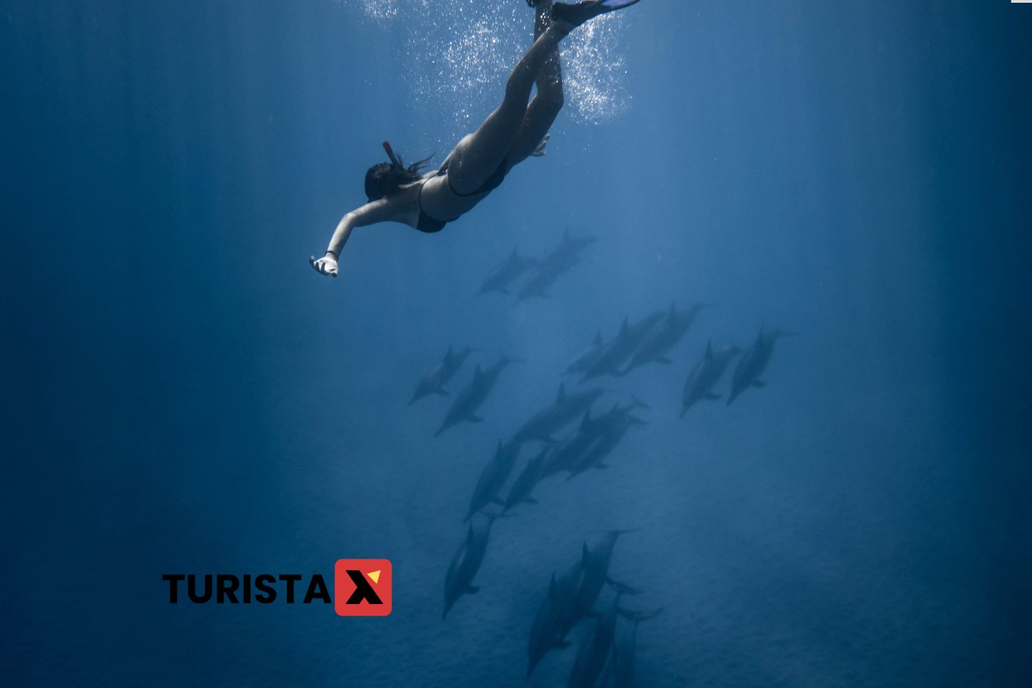 Bucear y hacer snorkel en los arrecifes - atracciones turísticas en las Islas Turcas y Caicos