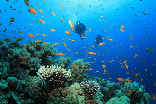 Buceo en Doha-Actividades de Aventura en Doha