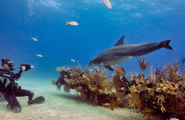Buceo en el Mar Rojo