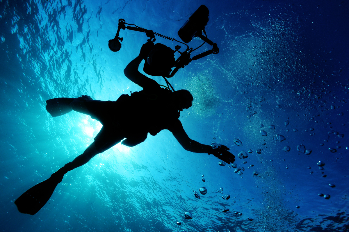 Buceo y snorkel en el Parque Nacional Marino Cabo Pulmo