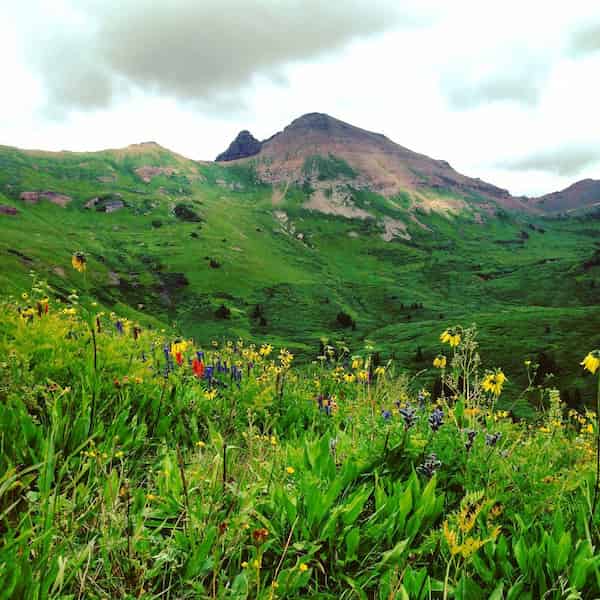 Bucle de la cuenca Hasley