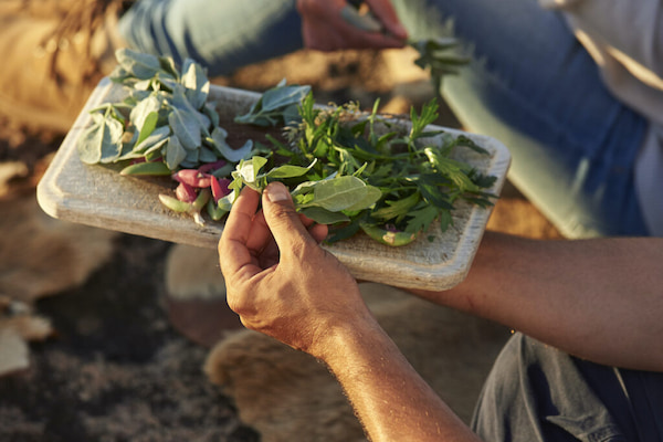 Bush Tucker Experiencias gastronómicas en Austalia 5