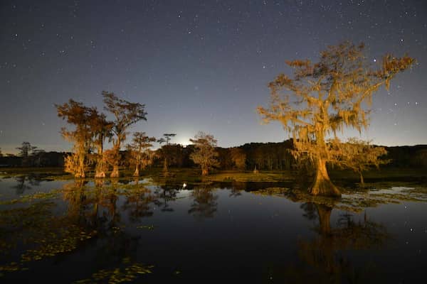 Caddo Lake State Park-Acampar en los Lagos de Texas