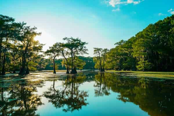 Caddo Lake State Park