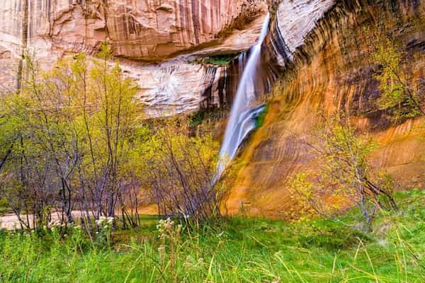 Camina por el antiguo camino del ganado hasta una cascada épica