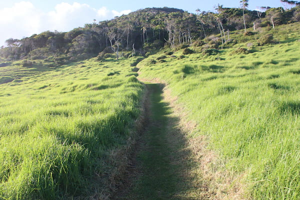 Caminata 4
