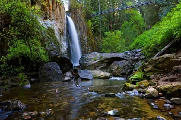 Caminata a las cataratas Drift Creek