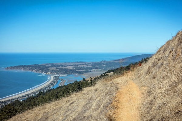 Caminata por la playa Stinson y el sendero Dipsea
