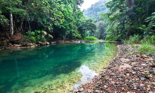 Caminata por la selva tropical