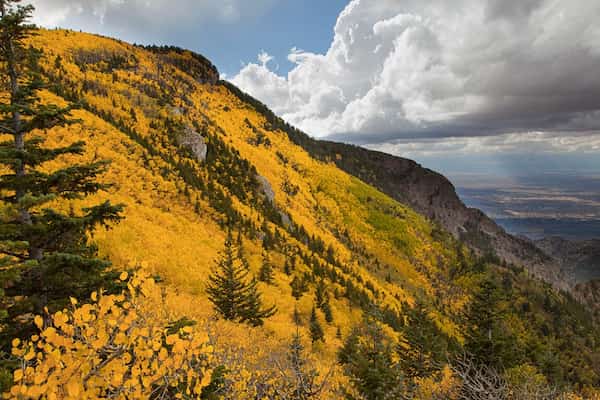Camino panorámico de Sandia Crest