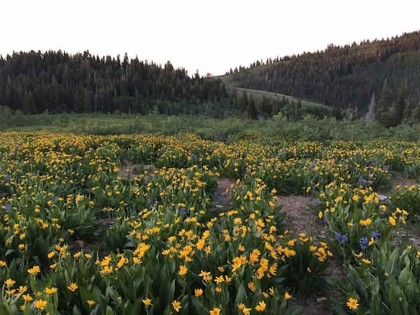 Campamento Bountiful Peak