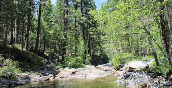 Campamento North Fork