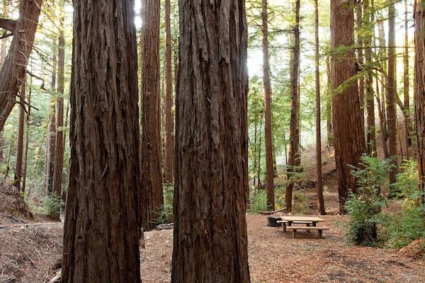 Campamento Ventana-Acampar en Invierno en California