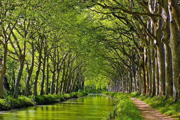 Canal del Mediodía
