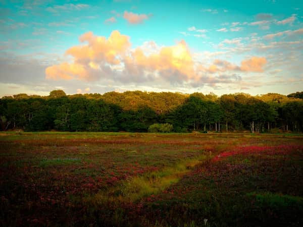 Cape Cod, Massachusetts