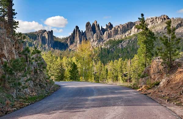 Carretera Needles, Parque Estatal Custer