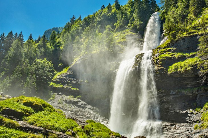 Cascada Rouget