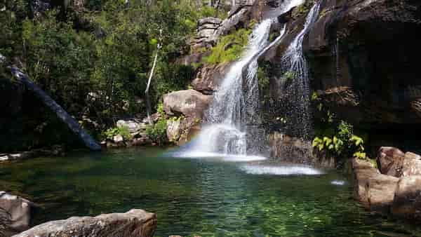 Cascadas Scout