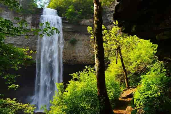 Cataratas Fall Creek