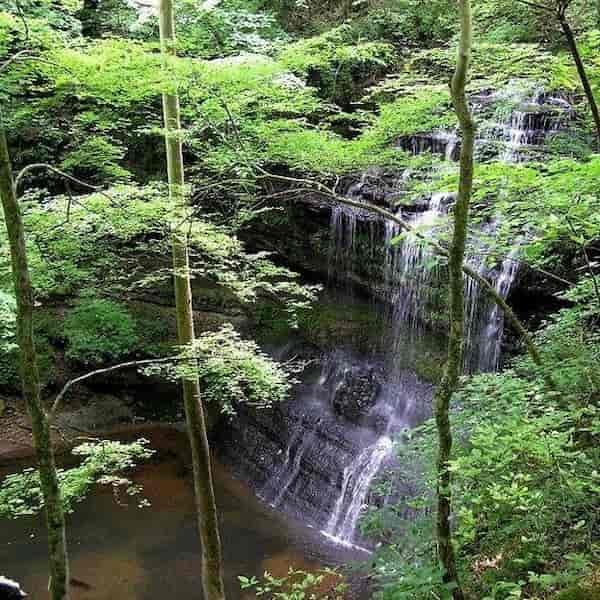 Cataratas Stillhouse Hollow