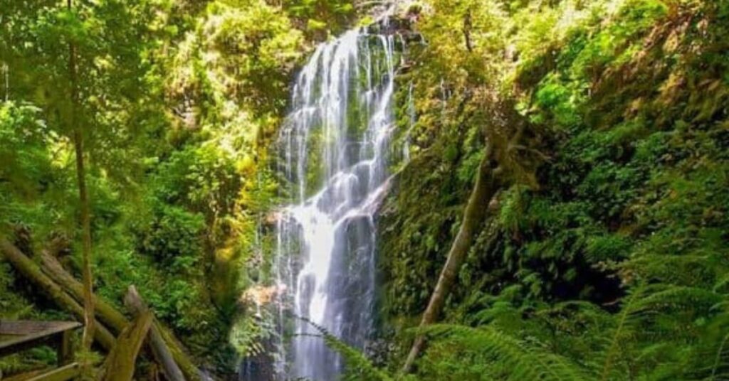 Cataratas de Berry Creek