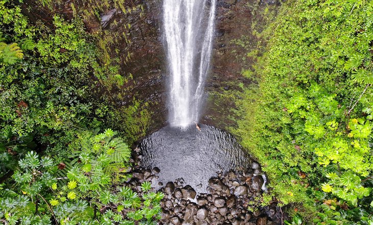 Cataratas de Manoa
